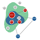 Mixed Messages: mRNA Splicing Errors May Promote Alzheimer’s