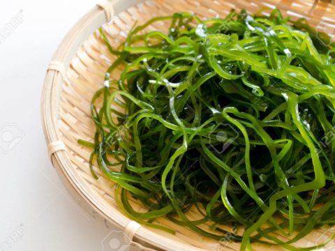 Can Kelp Help Treat AD? Chinese Regulators Think So