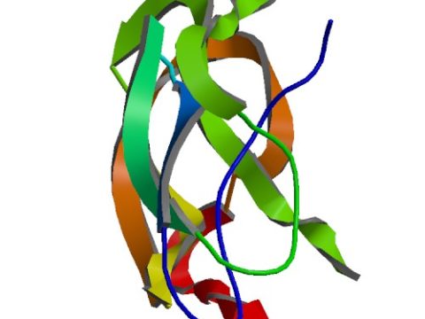 Alzforum’s Dataset of APP Mutations Gets a Makeover