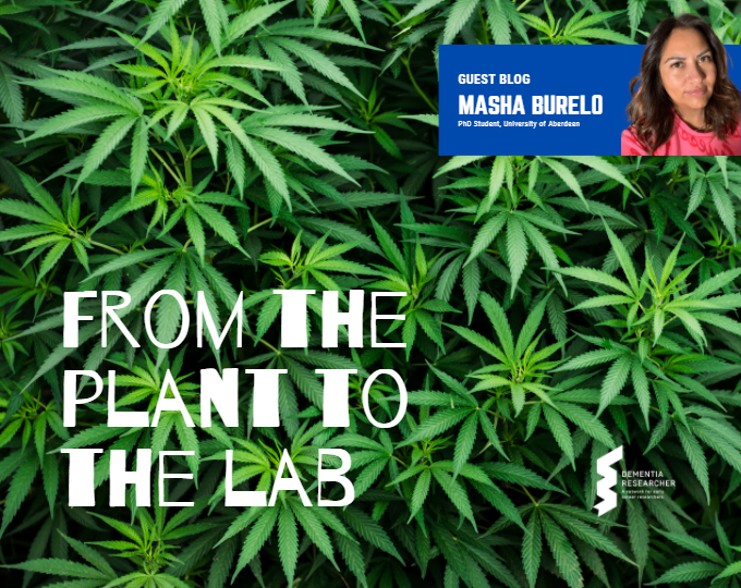 Blog – From the plant to the lab