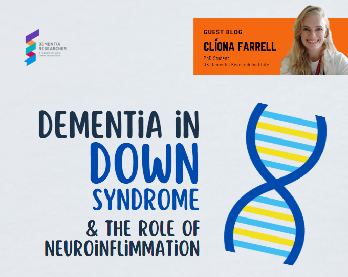 Dementia in Down syndrome and the role of neuroinflammation