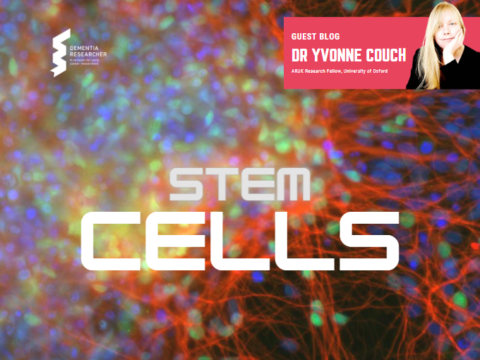 Blog – Stem Cells