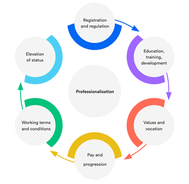 Six circules round a central circle hub. Outside are Registration and regulation / Education, training, development / Values and vocation / Pay and progression / Working terms and conditions / Elevation of Status and at the centre is Professionalism