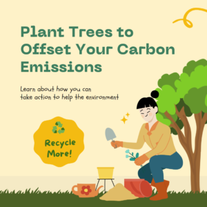 Advert for carbon offset - https://www.which.co.uk/reviews/airlines/article/carbon-offsetting-how-to-reduce-the-impact-of-flying-abuH44x4FeWn