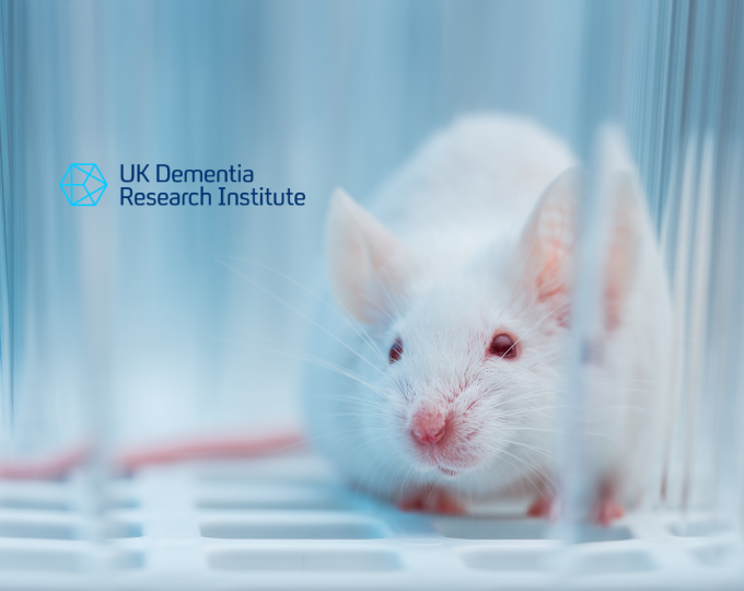 Improving animal models for the study of Alzheimer’s