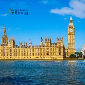 Royal Society of Biology Houses of Parliament Event