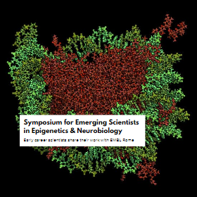 Symposium for Emerging Scientists in Epigenetics & Neurobiology. Early career scientists share their work with EMBL Rome.