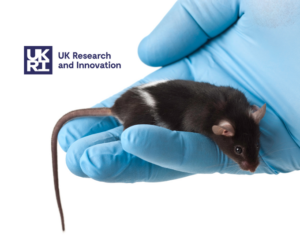 UKRI Mouse Network