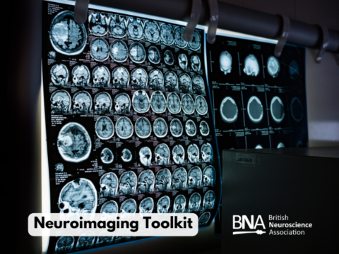Neuroimaging Toolkit