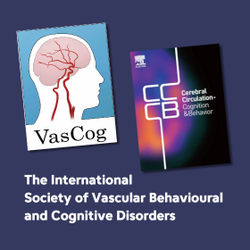 The International Society of Vascular Behavioural and Cognitive Disorders