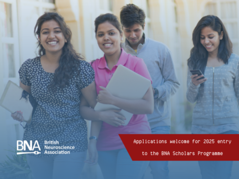 Apply to the BNA Scholars Programme