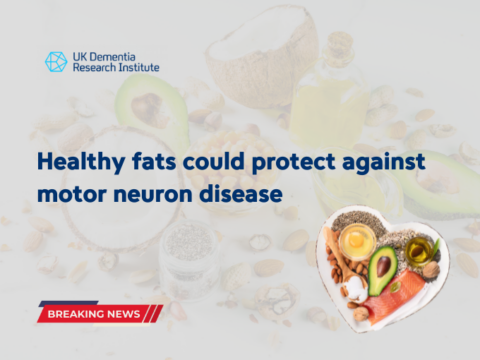 “Healthy fats” could protect against motor neuron disease